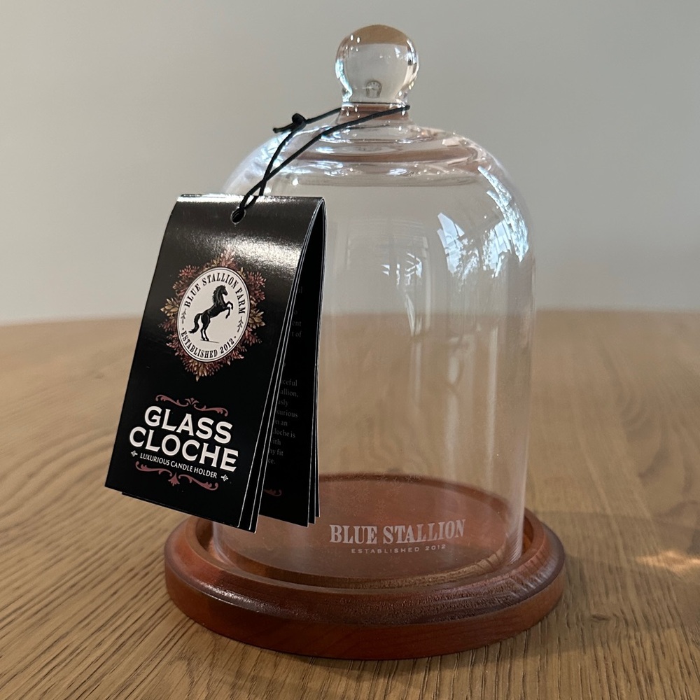Glass Cloche with Wooden Base